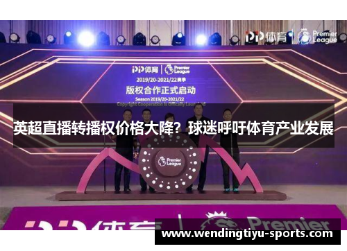 英超直播转播权价格大降？球迷呼吁体育产业发展