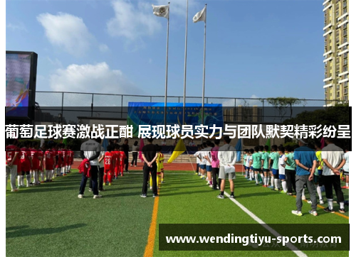 葡萄足球赛激战正酣 展现球员实力与团队默契精彩纷呈