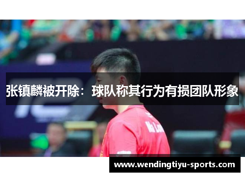 张镇麟被开除：球队称其行为有损团队形象