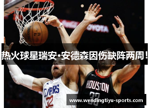 热火球星瑞安·安德森因伤缺阵两周！