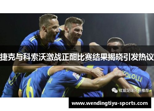 捷克与科索沃激战正酣比赛结果揭晓引发热议