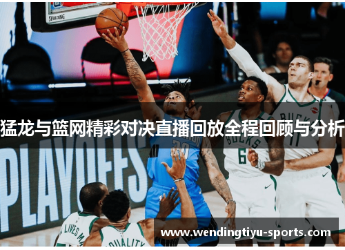 猛龙与篮网精彩对决直播回放全程回顾与分析