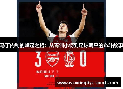 马丁内利的崛起之路：从青训小将到足球明星的奋斗故事