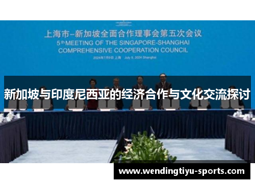 新加坡与印度尼西亚的经济合作与文化交流探讨